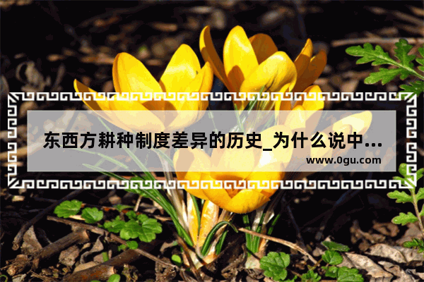 东西方耕种制度差异的历史_为什么说中国文化是农业文化论文