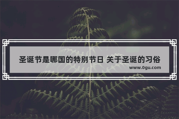 圣诞节是哪国的特别节日 关于圣诞的习俗