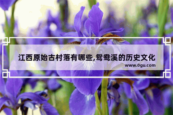 江西原始古村落有哪些,鸳鸯溪的历史文化