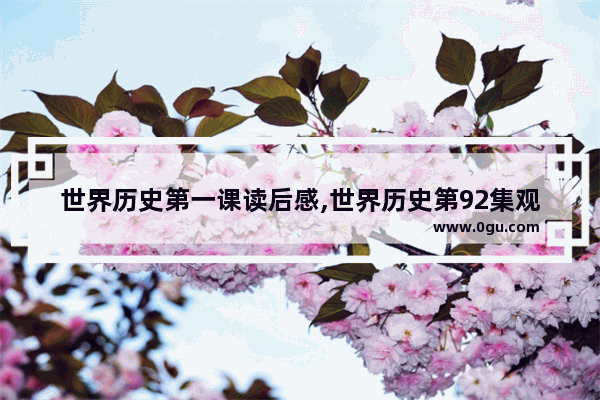 世界历史第一课读后感,世界历史第92集观后感
