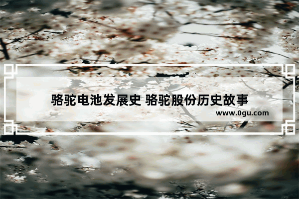 骆驼电池发展史 骆驼股份历史故事