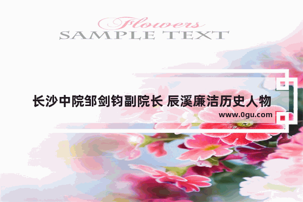 长沙中院邹剑钧副院长 辰溪廉洁历史人物