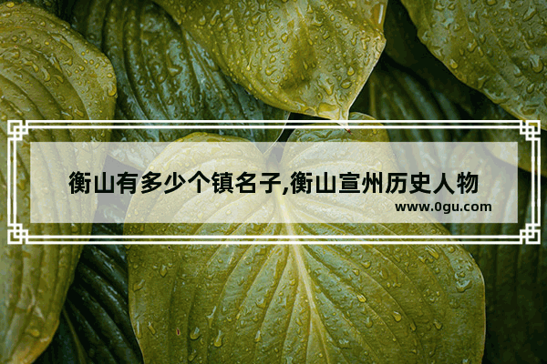 衡山有多少个镇名子,衡山宣州历史人物