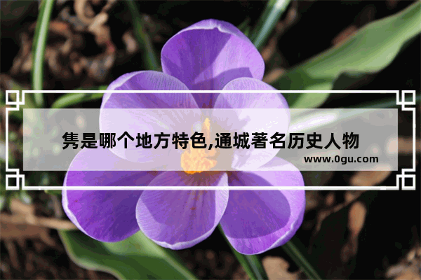 隽是哪个地方特色,通城著名历史人物
