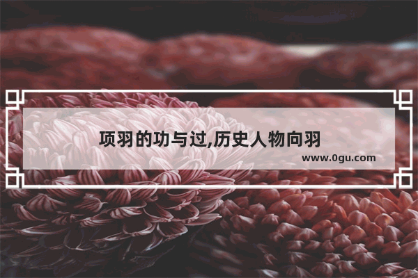项羽的功与过,历史人物向羽