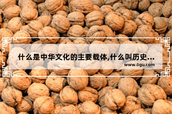 什么是中华文化的主要载体,什么叫历史文化载体