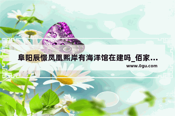 阜阳辰憬凤凰熙岸有海洋馆在建吗_佰家粥铺在阜阳哪里