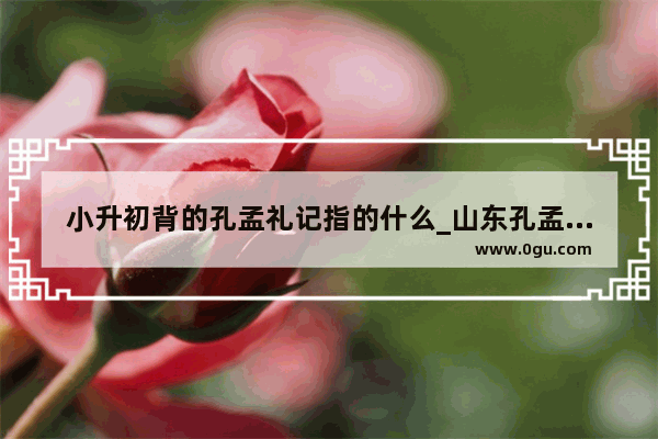 小升初背的孔孟礼记指的什么_山东孔孟之乡礼仪之邦的历史渊源