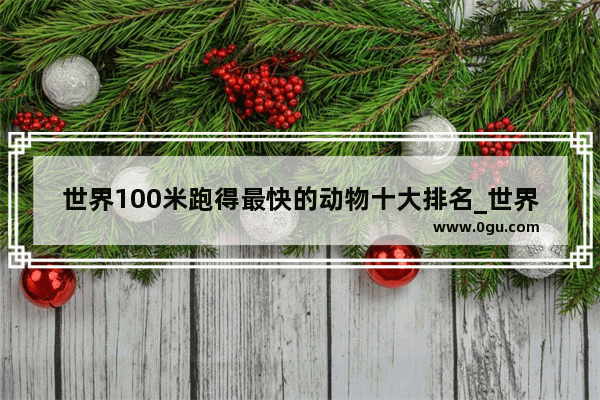 世界100米跑得最快的动物十大排名_世界足球先生最年轻排名