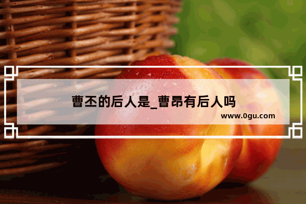 曹丕的后人是_曹昂有后人吗