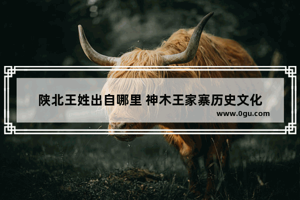 陕北王姓出自哪里 神木王家寨历史文化