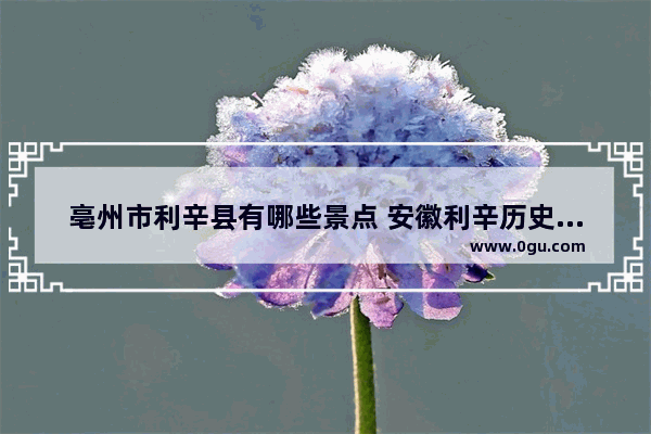 亳州市利辛县有哪些景点 安徽利辛历史文化