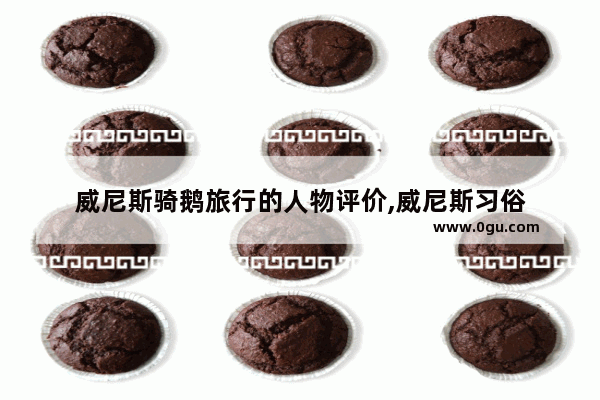 威尼斯骑鹅旅行的人物评价,威尼斯习俗