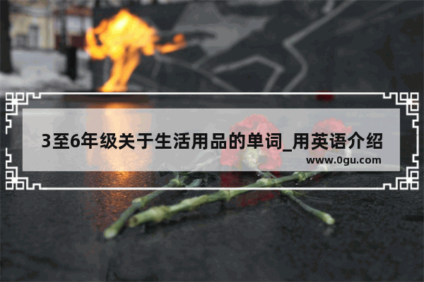 3至6年级关于生活用品的单词_用英语介绍餐具