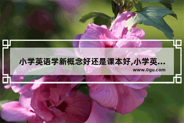 小学英语学新概念好还是课本好,小学英语新