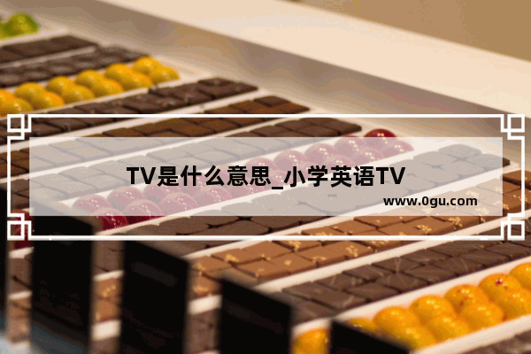 TV是什么意思_小学英语TV