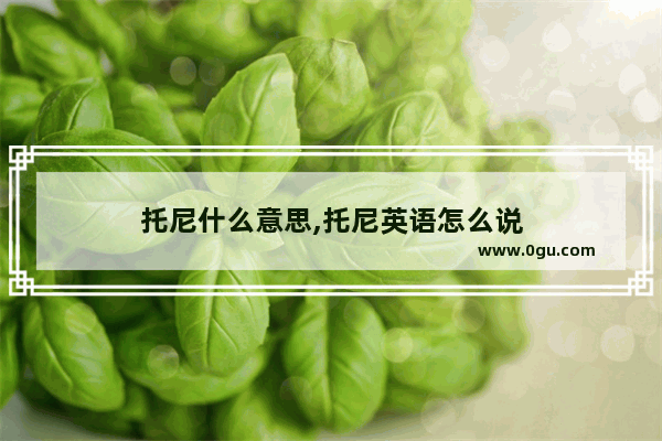 托尼什么意思,托尼英语怎么说