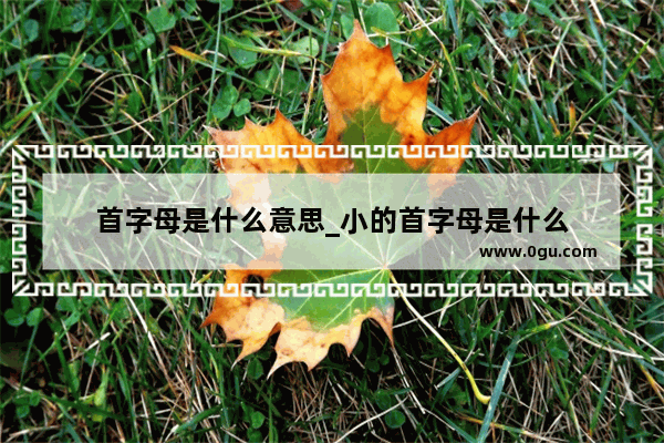 首字母是什么意思_小的首字母是什么