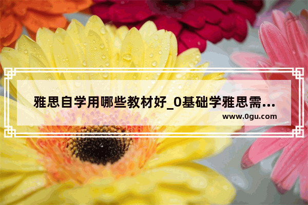 雅思自学用哪些教材好_0基础学雅思需要哪些书