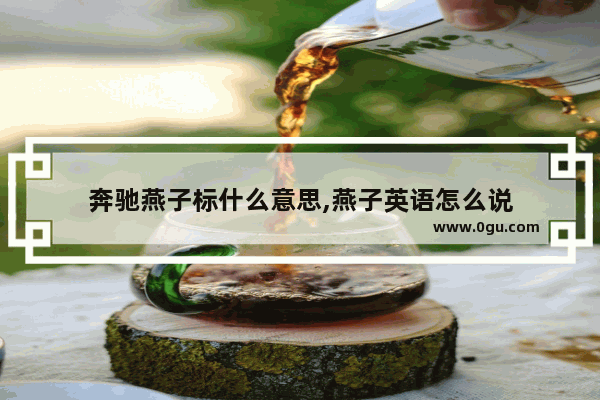 奔驰燕子标什么意思,燕子英语怎么说