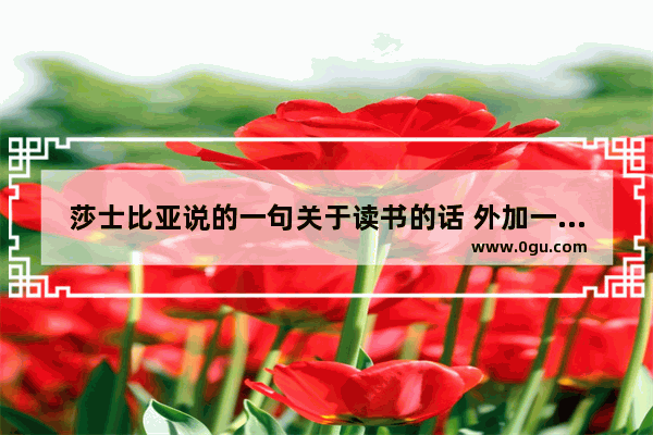莎士比亚说的一句关于读书的话 外加一句关于读书的名言 名言中的英语语法