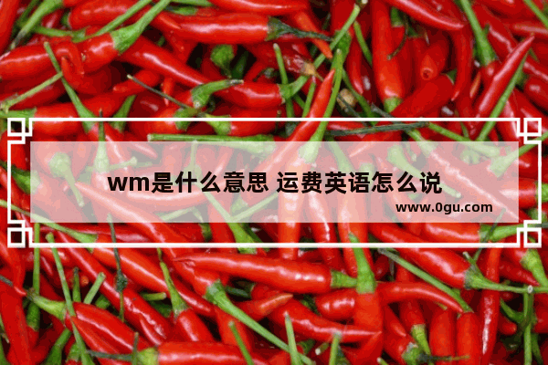 wm是什么意思 运费英语怎么说