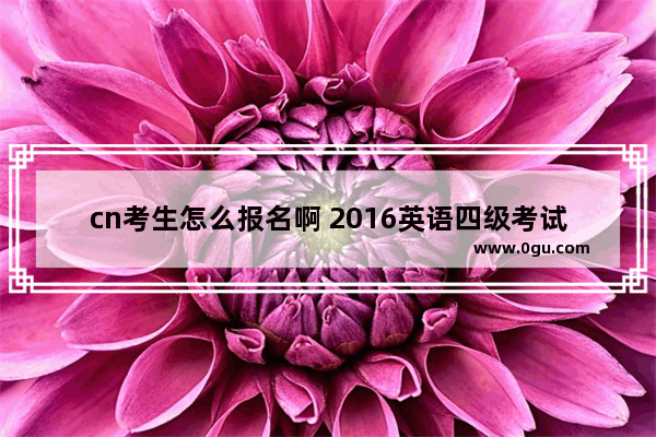 cn考生怎么报名啊 2016英语四级考试报名