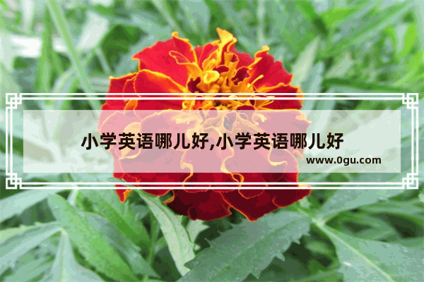 小学英语哪儿好,小学英语哪儿好