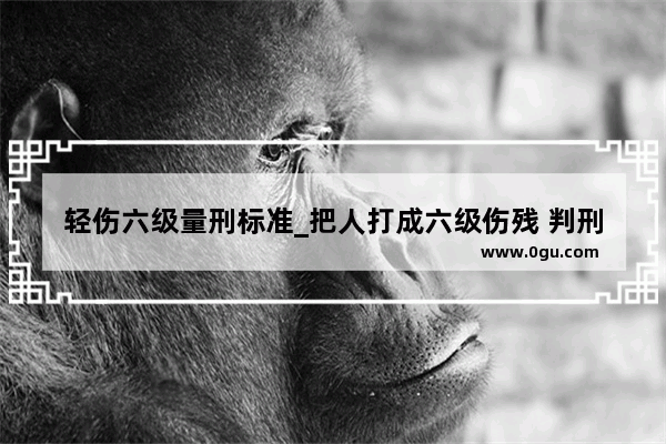 轻伤六级量刑标准_把人打成六级伤残 判刑的话怎么判