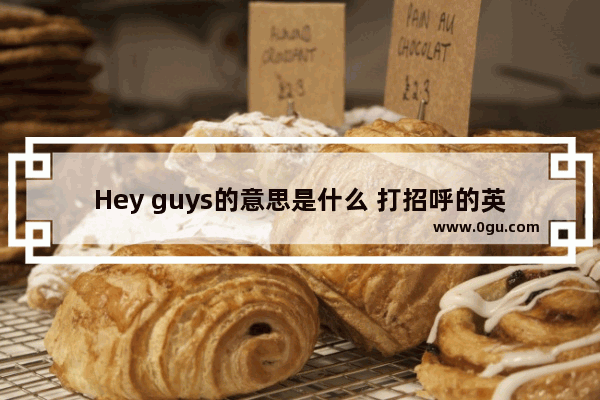 Hey guys的意思是什么 打招呼的英语口语