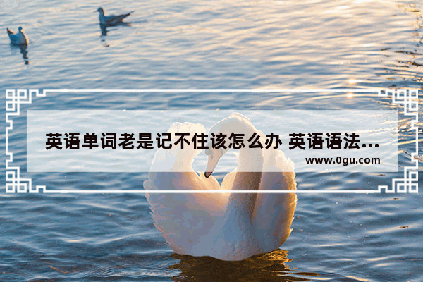英语单词老是记不住该怎么办 英语语法总是学不懂