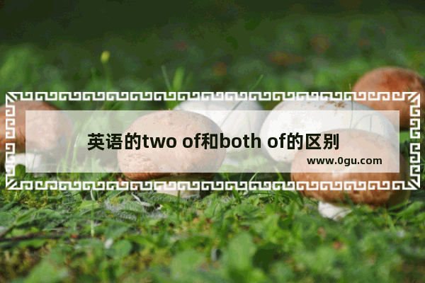 英语的two of和both of的区别,双人英语怎么说