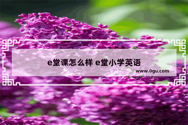 e堂课怎么样 e堂小学英语