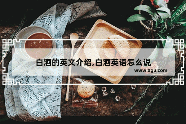 白酒的英文介绍,白酒英语怎么说
