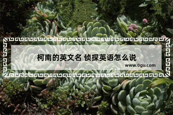 柯南的英文名 侦探英语怎么说