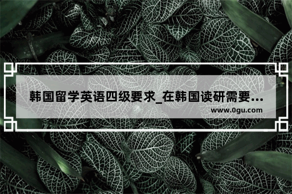 韩国留学英语四级要求_在韩国读研需要几年?是考雅思还是托福