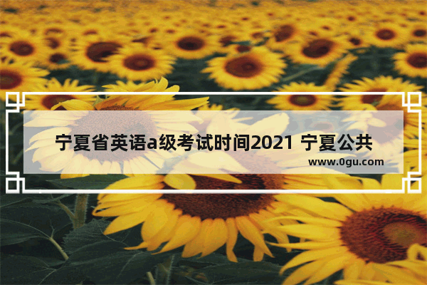 宁夏省英语a级考试时间2021 宁夏公共英语考试