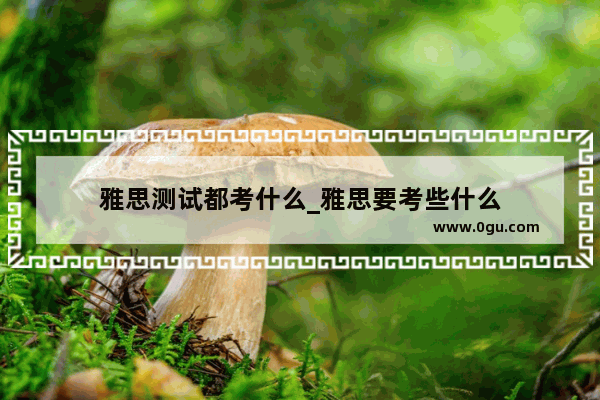 雅思测试都考什么_雅思要考些什么