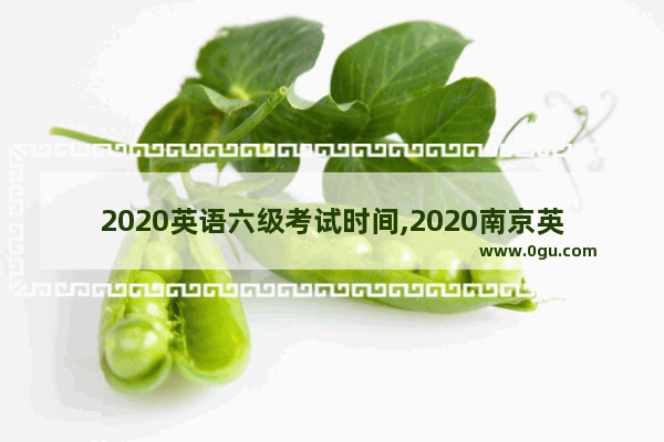 2020英语六级考试时间,2020南京英语六级