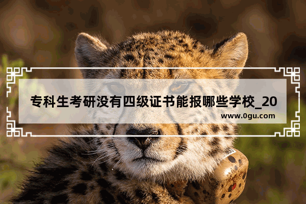 专科生考研没有四级证书能报哪些学校_2020年攀枝花市工伤护理费上涨细则