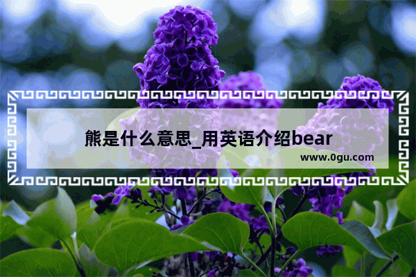 熊是什么意思_用英语介绍bear