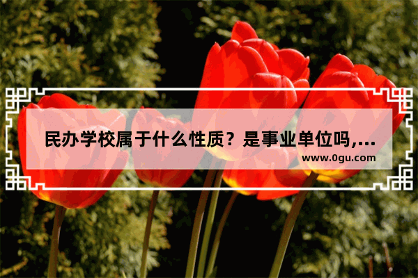 民办学校属于什么性质？是事业单位吗,英语六级证书性质