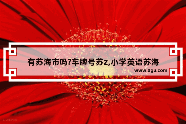 有苏海市吗?车牌号苏z,小学英语苏海