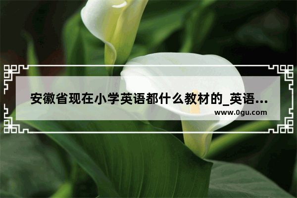 安徽省现在小学英语都什么教材的_英语小学学什么