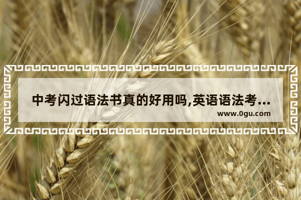 中考闪过语法书真的好用吗,英语语法考试的目的