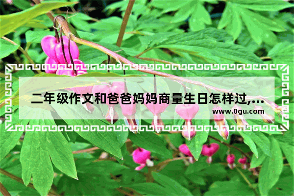 二年级作文和爸爸妈妈商量生日怎样过,我妈妈的生日英语作文