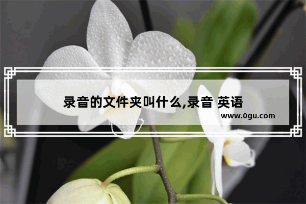 录音的文件夹叫什么,录音 英语