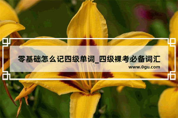 零基础怎么记四级单词_四级裸考必备词汇