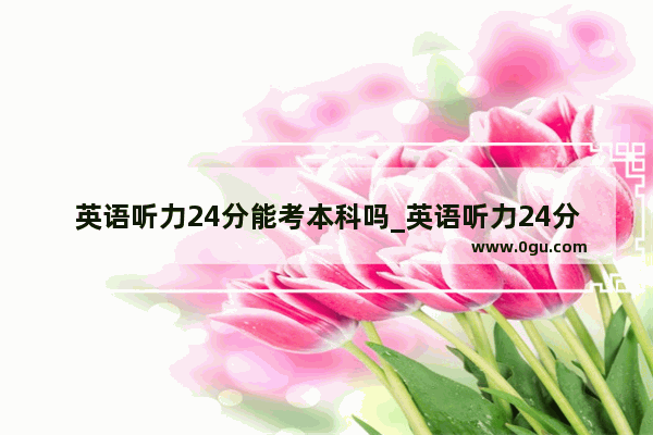 英语听力24分能考本科吗_英语听力24分什么水平