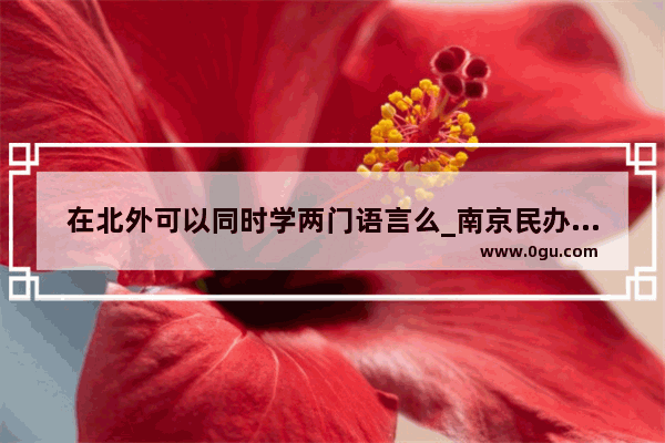在北外可以同时学两门语言么_南京民办初中学校排名2019
